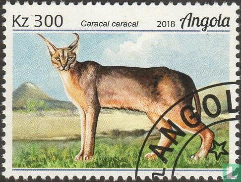 Caracal