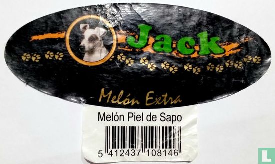 Jack  melon piel de Sapo