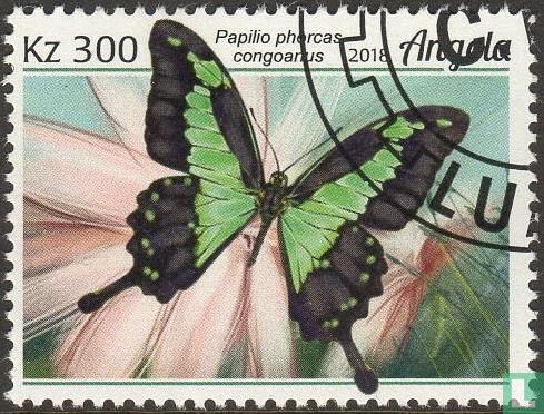 Schmetterling