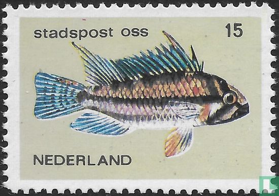 Vissen