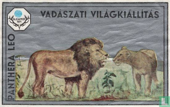 Panthera Leo - Vadászati Világkiállítás 1971 