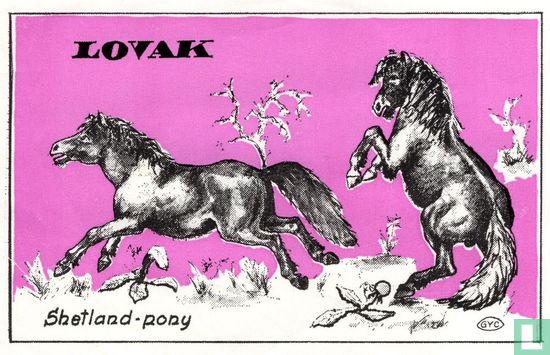  Lovak - Shetland-pony