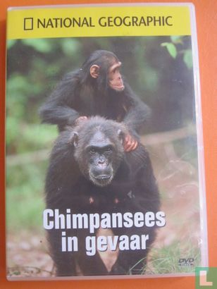 Chimpansees in gevaar - Image 1