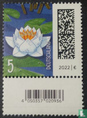 letter water lily - Image 1