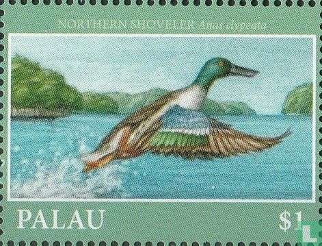 Waterfowl