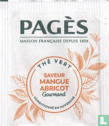 Saveur Mangue Abricot Gourmand - Image 1