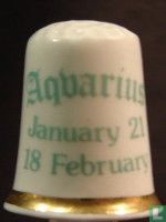 'Aquarius January 21 - February 18' - Afbeelding 2