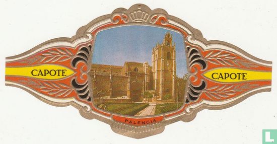 Catedral de Palencia (Palencia) - Bild 1