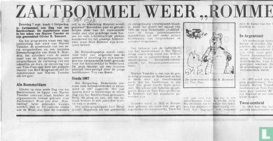 Zaltbommel weer Rommeldam - Image 1
