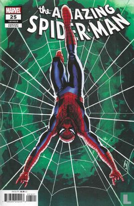 The Amazing Spider-Man 25 - Afbeelding 1