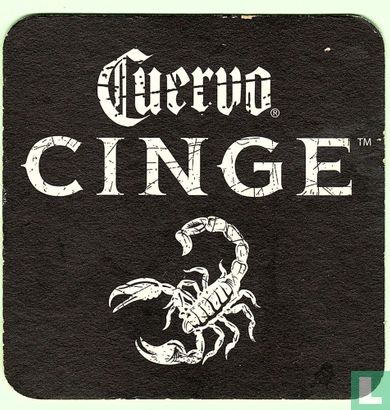 Cuervo cinge - Image 2