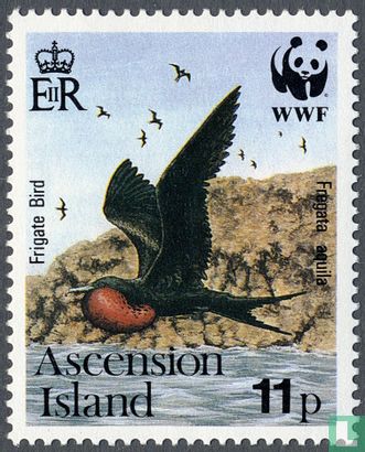 WWF-Ascensionfregatvogel