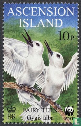 WWF-white tern