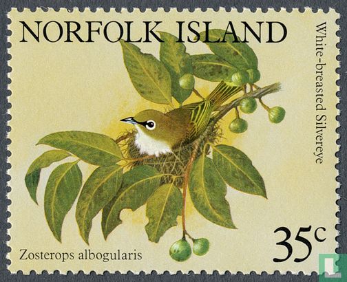 Norfolk-Brillenvogel