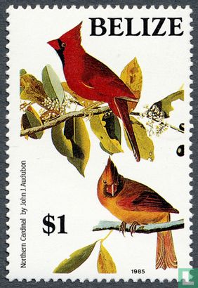 Audubon Vögel    