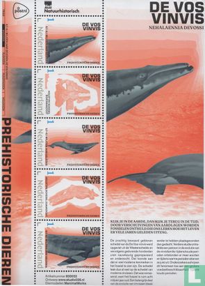 Animaux Préhistoriques - La Baleine Renard