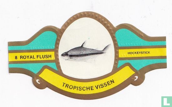 Hockeystick - Afbeelding 1