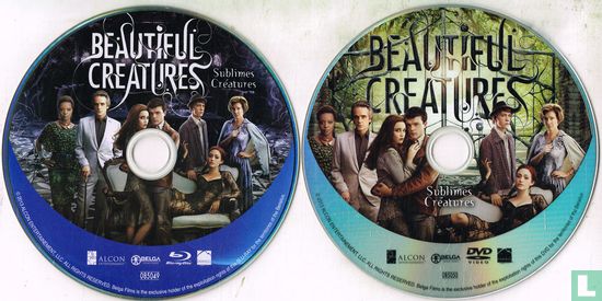 Beautiful Creatures / Sublimes créatures - Afbeelding 3