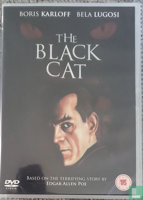 The Black Cat - Image 1
