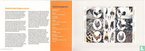 Dutch Chicken breeds - Image 2