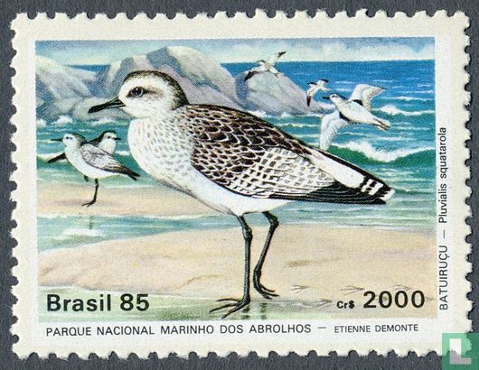 Vogels uit Nationaal park Abrolhos