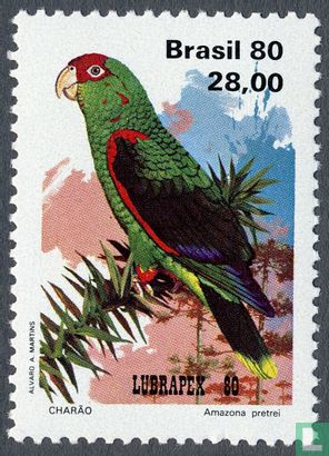 Lubrapex, Papageien