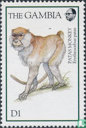 singes