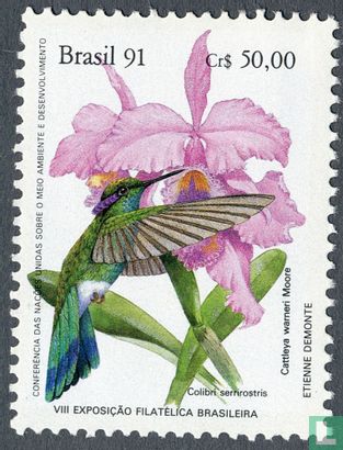 Hummingbirds and Orchids - Brapex`91