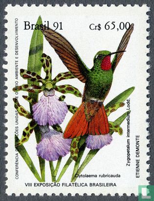 Hummingbirds and Orchids - Brapex '91