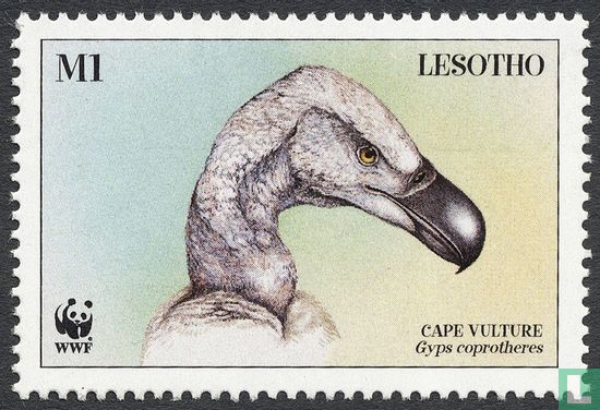 WWF - Cape Vulture