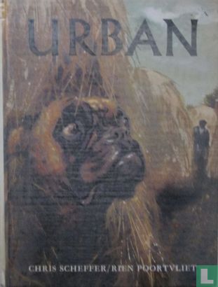 Urban - Image 1