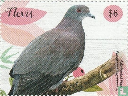 Pigeons