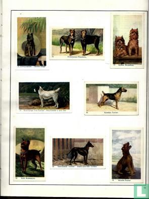 Honden in woord en beeld - Image 3
