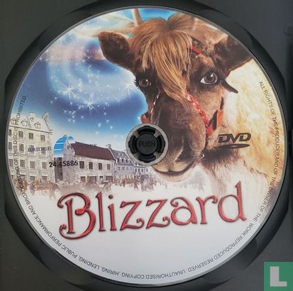 Blizzard - Image 3
