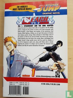 Bleach 1 - Afbeelding 2