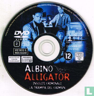 Albino Alligator - Afbeelding 3