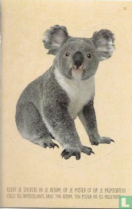 Koala / Koala  - Image 1