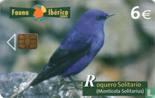 Roquero Solitario [Monticola Solitarius]  - Afbeelding 1