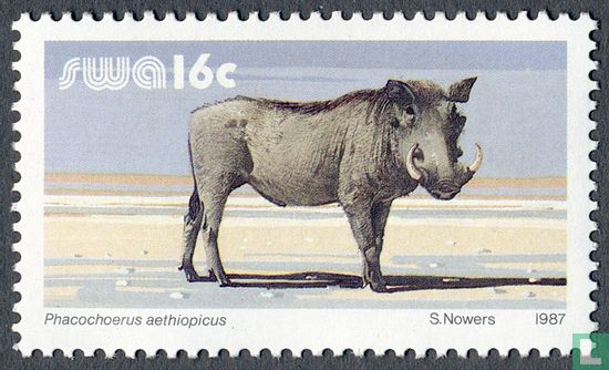 Warthog - Image 1