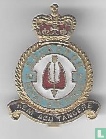 Royal Air Force  Squadron - Afbeelding 1
