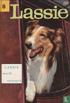 Lassie wordt ontvoerd - Afbeelding 1
