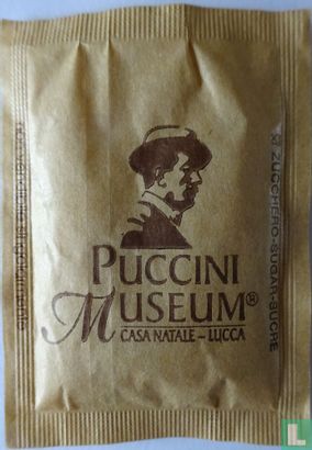 Puccini Museum, casa natale - Lucca - Image 1