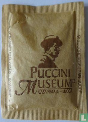Puccini Museum, casa natale - Lucca - Afbeelding 2