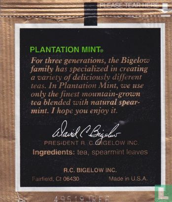 Plantation Mint [r] - Image 2