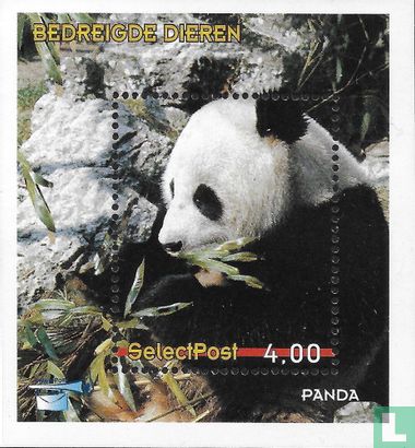 Endangered animals: panda