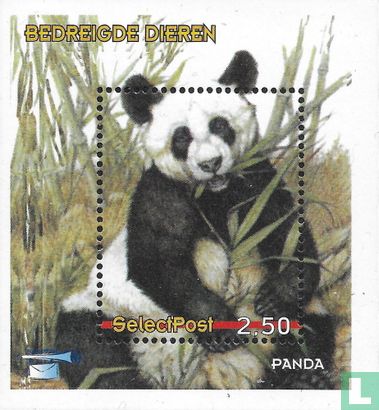 Gefährdete Tiere: Panda