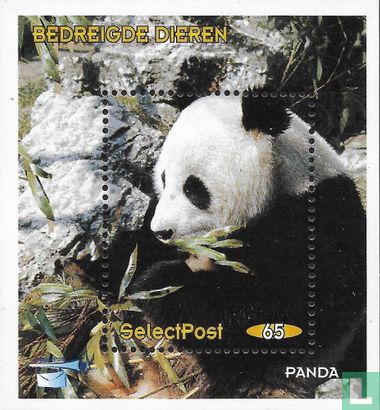 Bedreigde dieren: panda