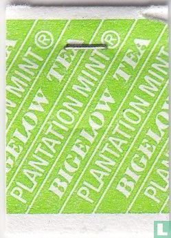 Plantation Mint [r] - Image 3