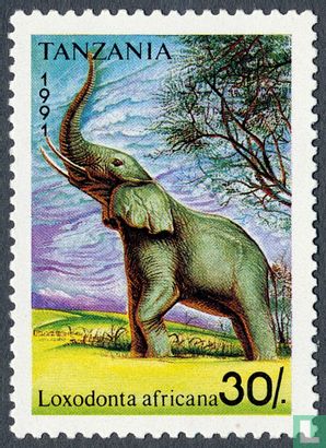 Elephants   