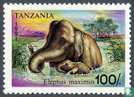 Elephants  